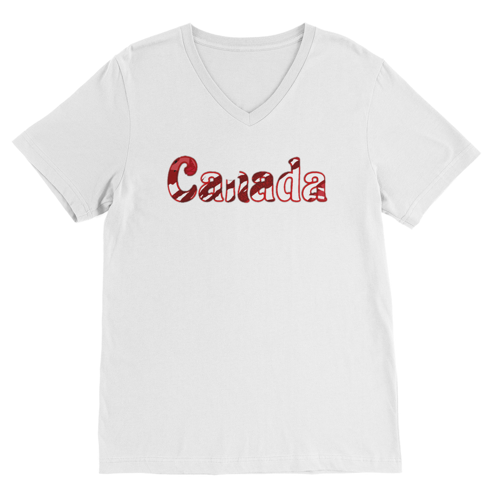 211INC Mens Windowed Premium V-Neck T-Shirt