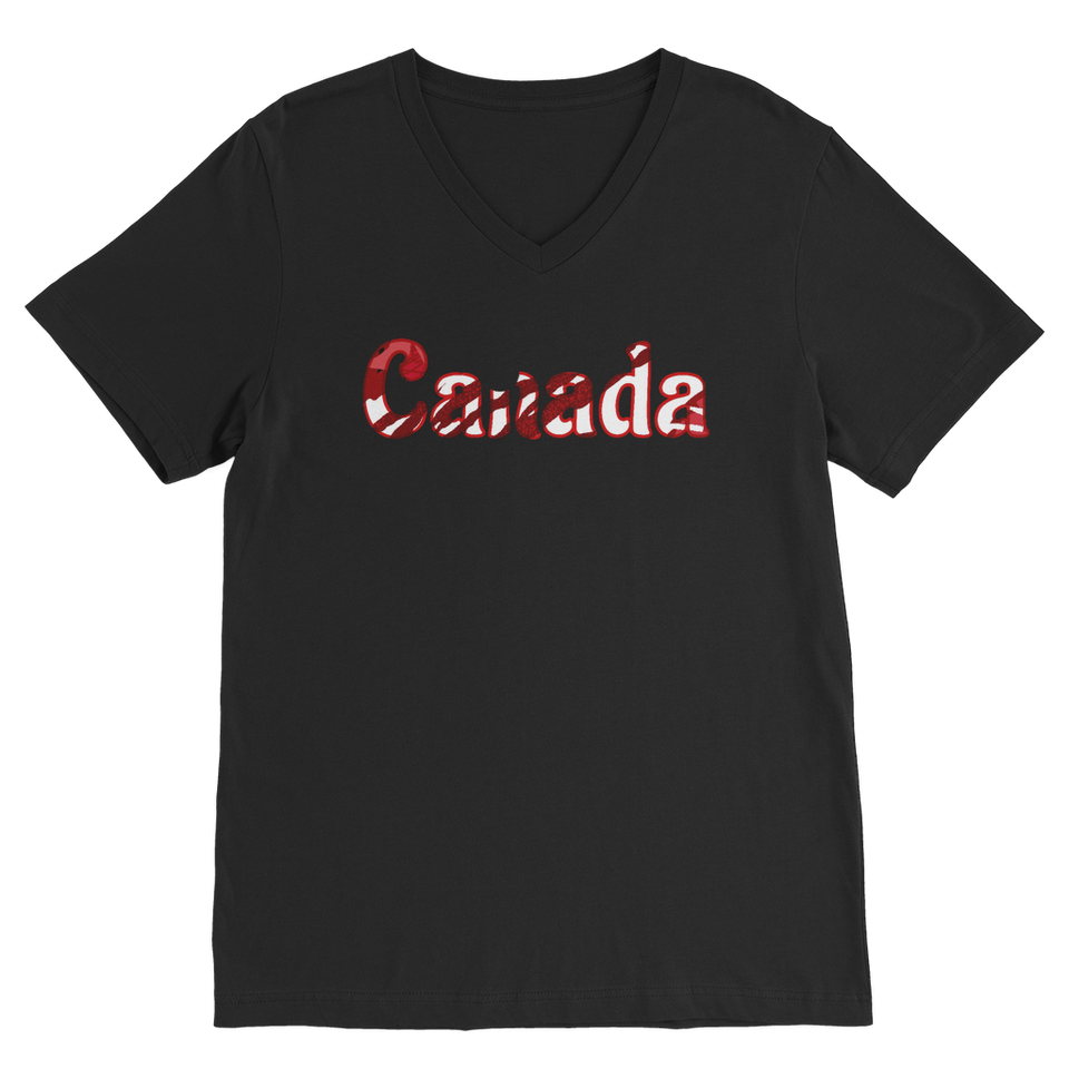 211INC Mens Windowed Premium V-Neck T-Shirt